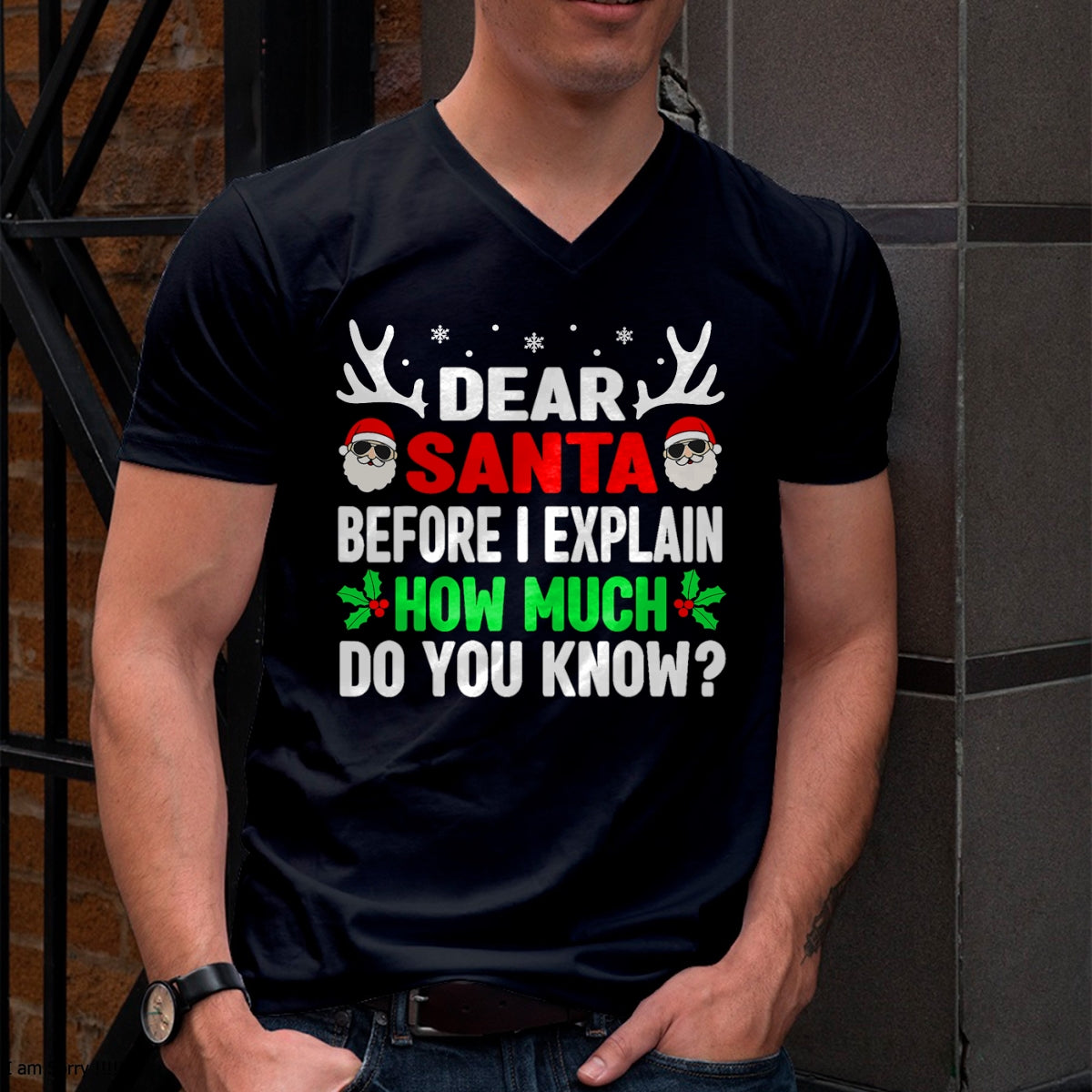 Funny Christmas Kids Adults Dear Santa I Can Explain T-Shirt - Christmas Unisex T-Shirt/Hoodie/Sweatshirt - HNDS00