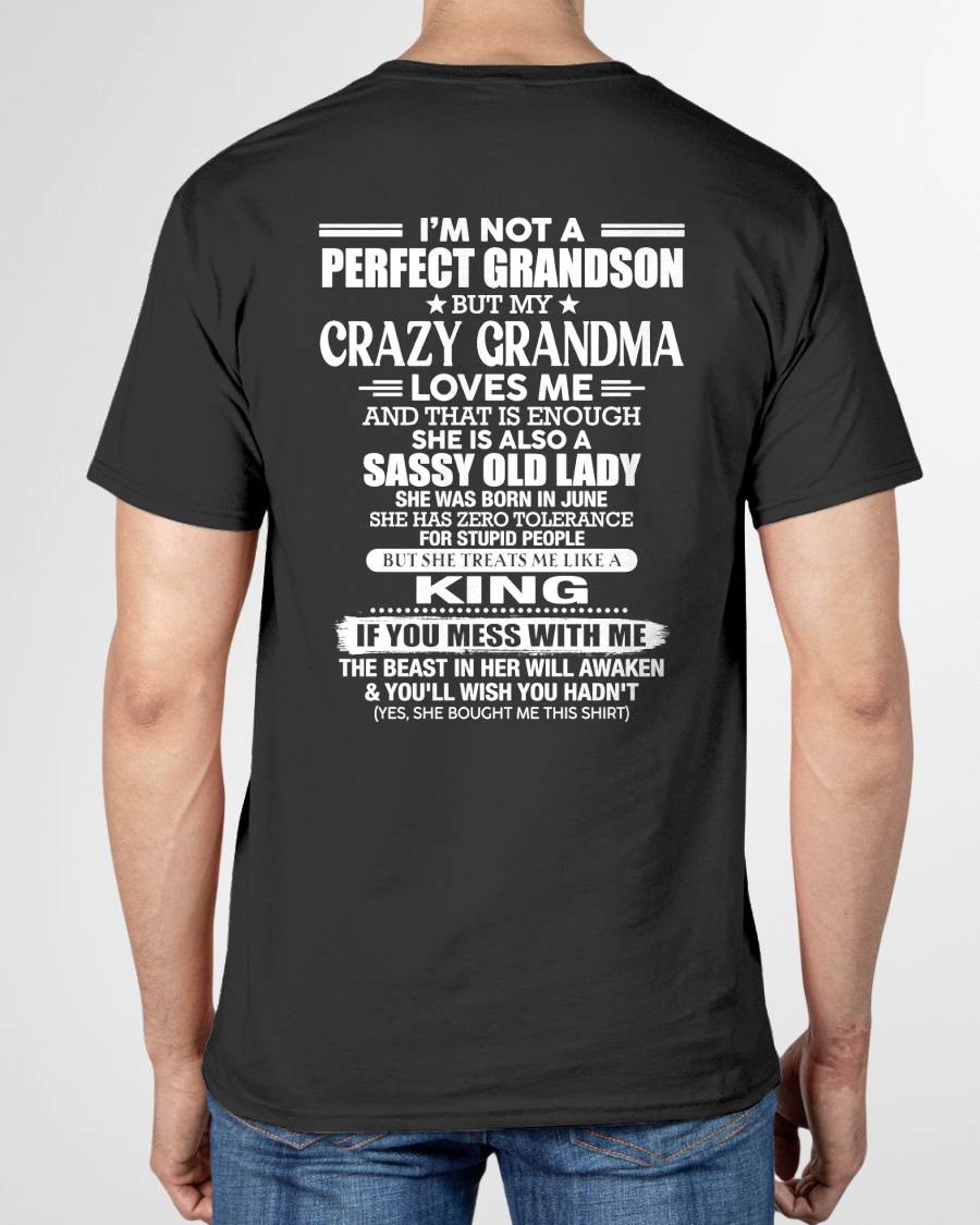 JUNE - I AM NOT A PERFECT GRANDSON - GIFT FROM GRANDMA -NIKI06 - (SKU2607-191-06)