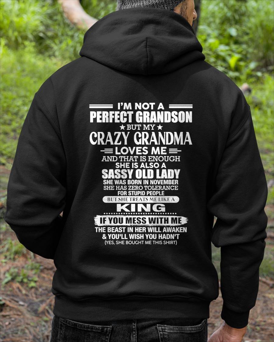 NOVEMBER - I AM NOT A PERFECT GRANDSON - GIFT FROM GRANDMA -NIKI11 - (SKU2607-191-11)